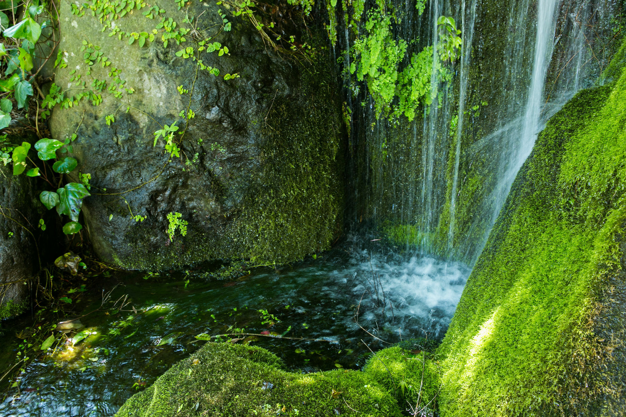 Yugawara-Onsen Manyoso Exterior foto